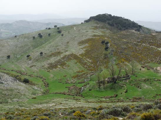 04-Los-Villares--Las-Lagunillas--Priego-059