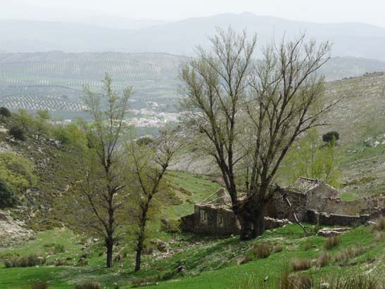 04-Los-Villares--Las-Lagunillas--Priego-061