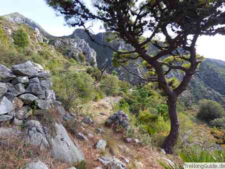 Wanderung bei Istán