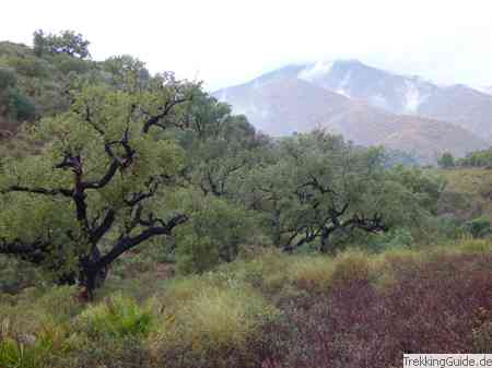 Wanderung Valle de las Colmenas