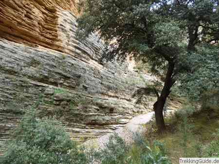 Schlucht bei Ronda