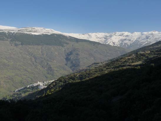 07-Taha-de-Pitres-001