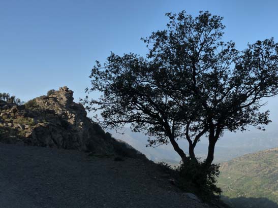 07-Taha-de-Pitres-003