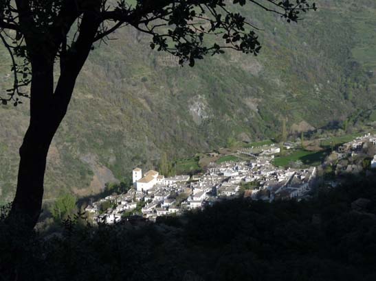 07-Taha-de-Pitres-004