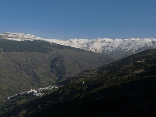 07-Taha-de-Pitres-005