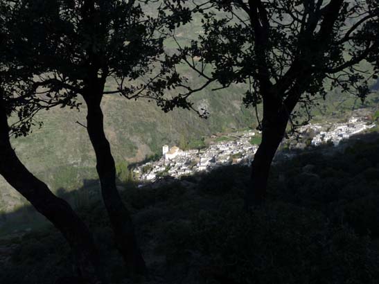 07-Taha-de-Pitres-006