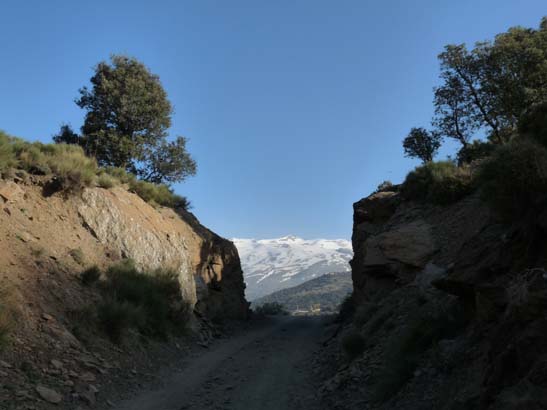 07-Taha-de-Pitres-010