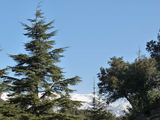 07-Taha-de-Pitres-017