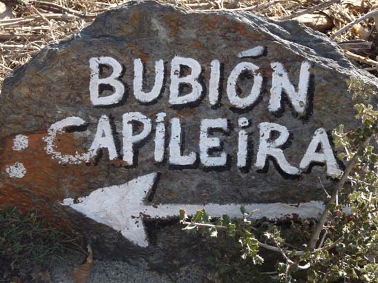 07-Taha-de-Pitres-020