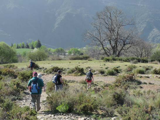 07-Taha-de-Pitres-021