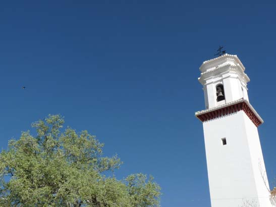 07-Taha-de-Pitres-028