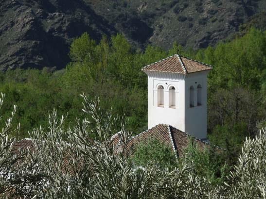 07-Taha-de-Pitres-034