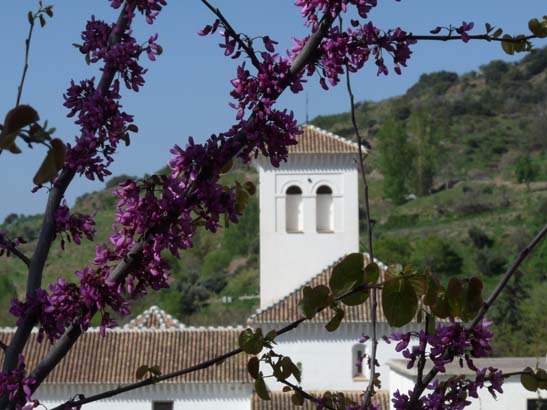 07-Taha-de-Pitres-037