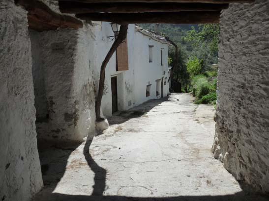 07-Taha-de-Pitres-038