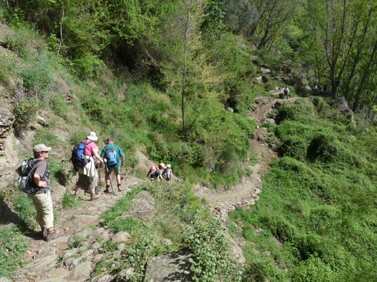 07-Taha-de-Pitres-044