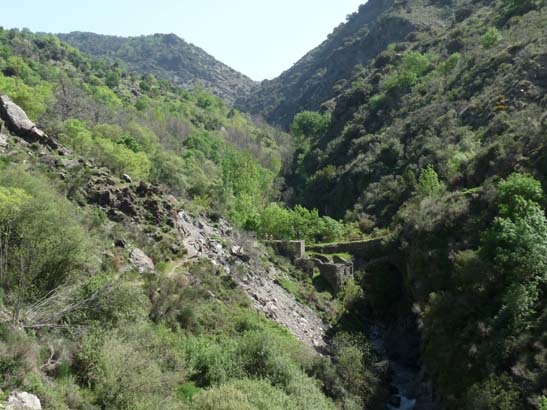 07-Taha-de-Pitres-045