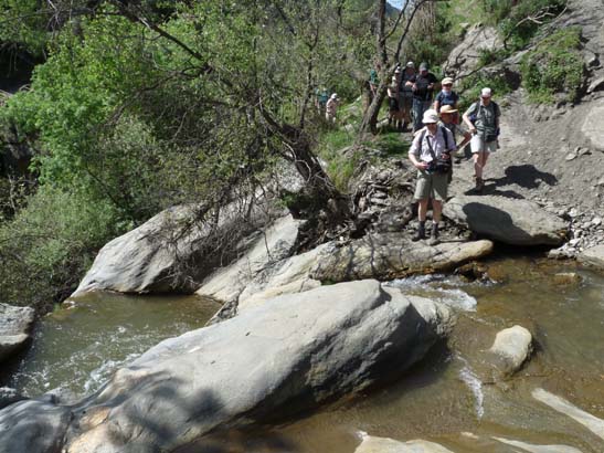 07-Taha-de-Pitres-054