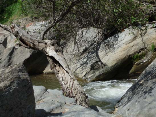 07-Taha-de-Pitres-057