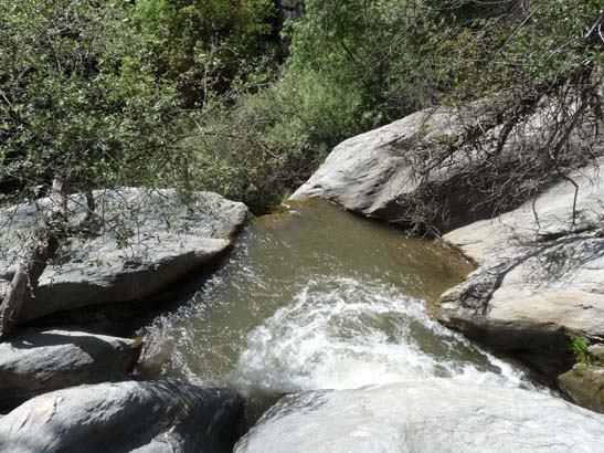 07-Taha-de-Pitres-063