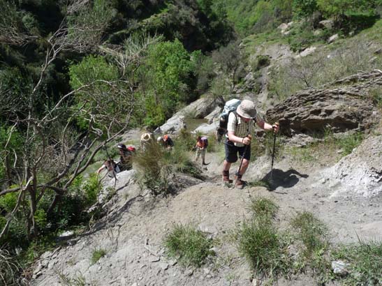 07-Taha-de-Pitres-066