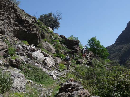 07-Taha-de-Pitres-067