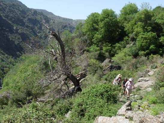 07-Taha-de-Pitres-068