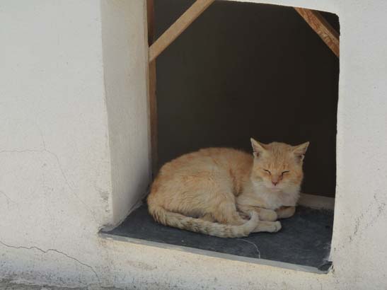 07-Taha-de-Pitres-076