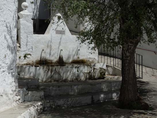 07-Taha-de-Pitres-078