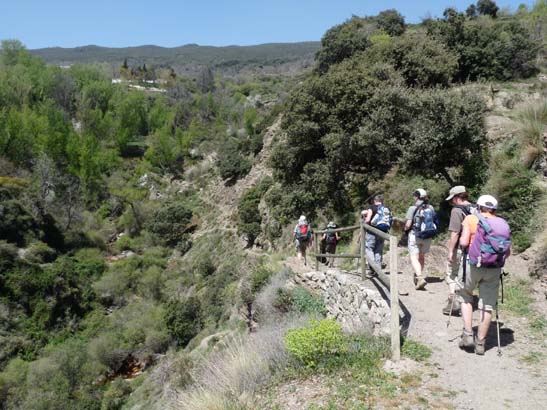 07-Taha-de-Pitres-081