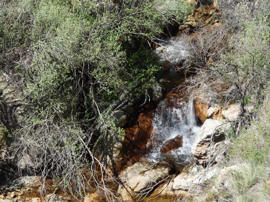 07-Taha-de-Pitres-083