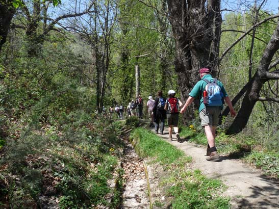 07-Taha-de-Pitres-086