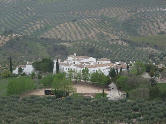 01-Zagrilla--Luque-001