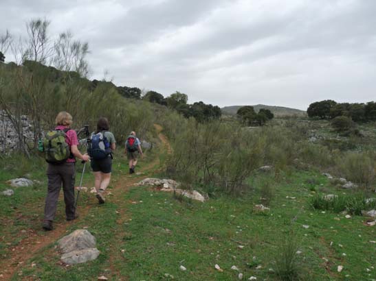 01-Zagrilla--Luque-005