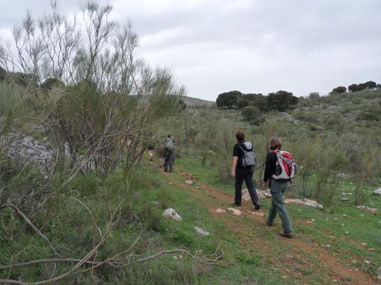 01-Zagrilla--Luque-006