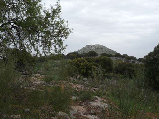 01-Zagrilla--Luque-007