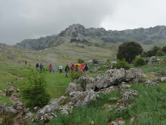 01-Zagrilla--Luque-023