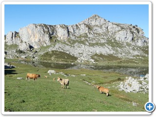 Asturien_250924_436_Picos_de_Europa_Covadonga