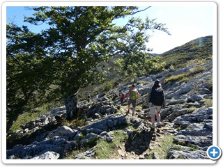 Asturien_250924_462_Picos_de_Europa_Covadonga