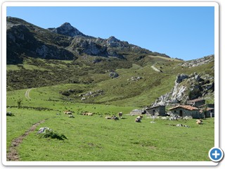 Asturien_250924_482_Picos_de_Europa_Covadonga