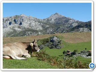 Asturien_250924_487_Picos_de_Europa_Covadonga