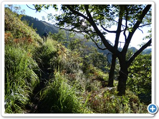 Asturien_250924_544_Picos_de_Europa_Covadonga
