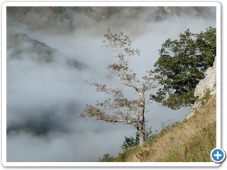 Asturien_250924_548_Picos_de_Europa_Covadonga