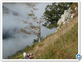 Asturien_250924_550_Picos_de_Europa_Covadonga