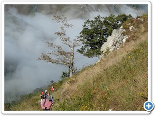 Asturien_250924_553_Picos_de_Europa_Covadonga
