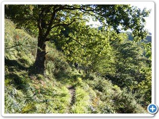 Asturien_250924_554_Picos_de_Europa_Covadonga