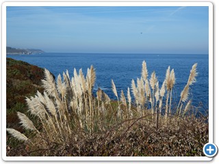 Asturien_250924_793_Puerto_de_Vega_Navia