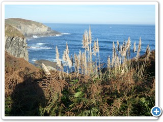 Asturien_250924_879_Puerto_de_Vega_Playa_Barayo_Jakobsweg