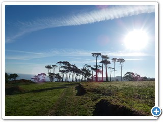 Asturien_250924_898_Puerto_de_Vega_Playa_Barayo_Jakobsweg