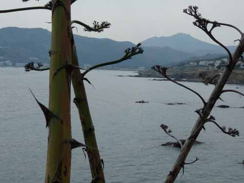 Costa-Brava-Cap-de-Creus-13-219