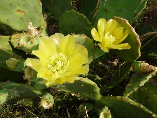 Costa-Brava-Cap-de-Creus-13-231